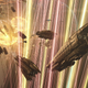 Smaller vessels near the Keepstar while Doomsday blasts from both sides streak past them. Screenshot used with permission by Walter Islands.